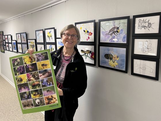 Birgit Bjerring, tidligere formand for DN Faaborg-Midtfyn ved ferniseringen på Ringe Bibliotek